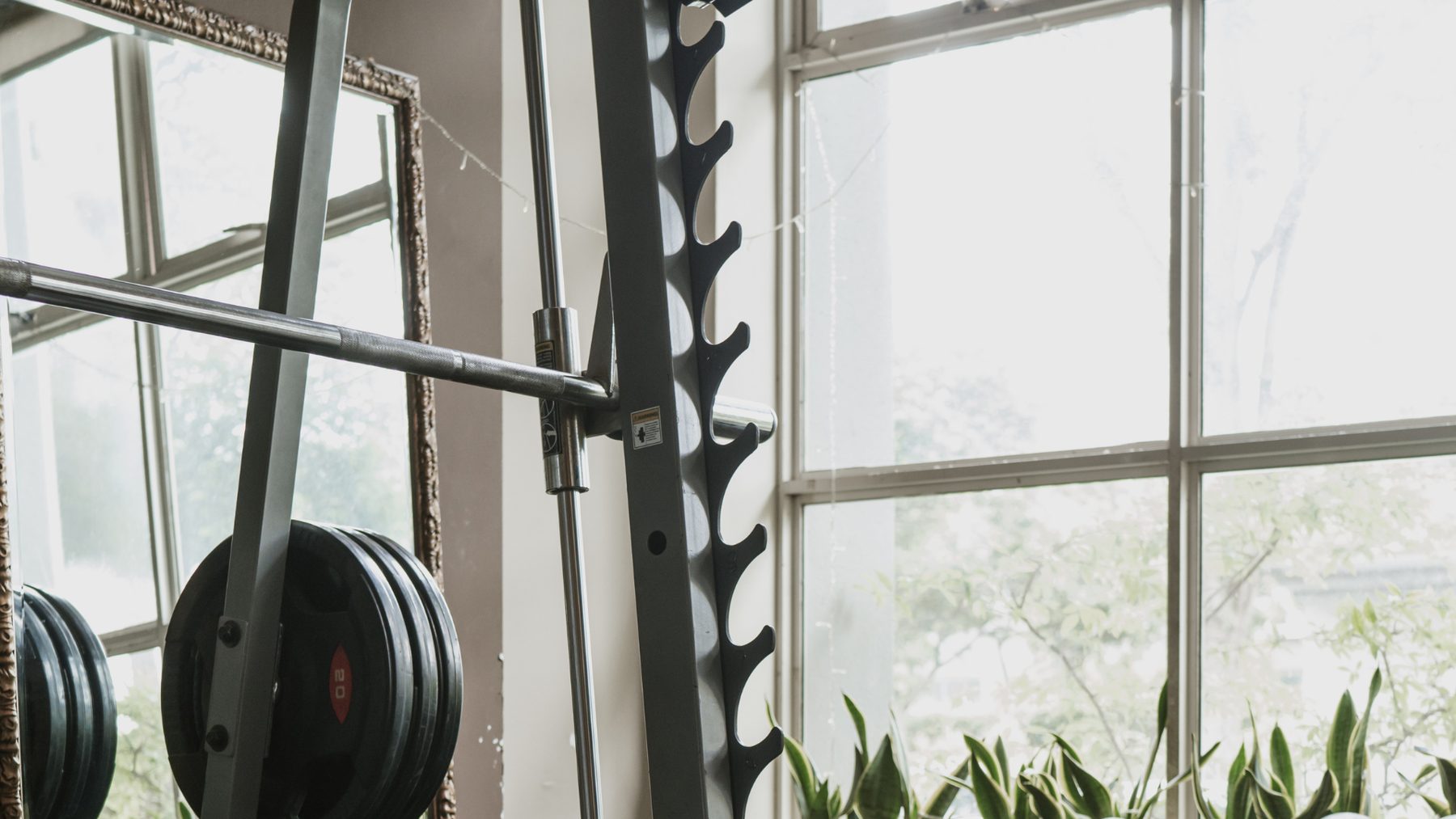 How To Use a Smith Machine — Complete Exercise Guide for Home Gyms