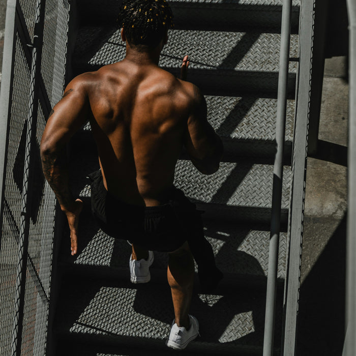 5 Best Stair Climbers for Home & Commercial Gyms (2026)