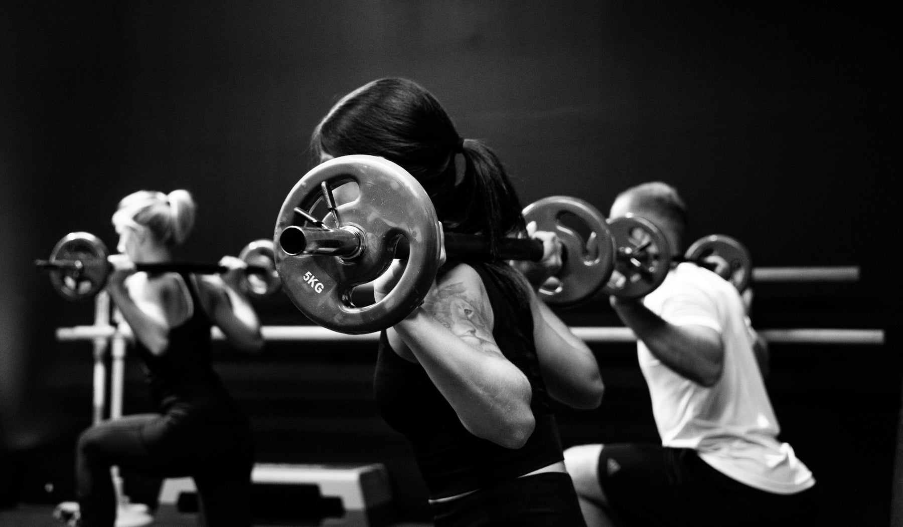 SFE Fitness Review 2026: Is SFE Equipment Worth It?