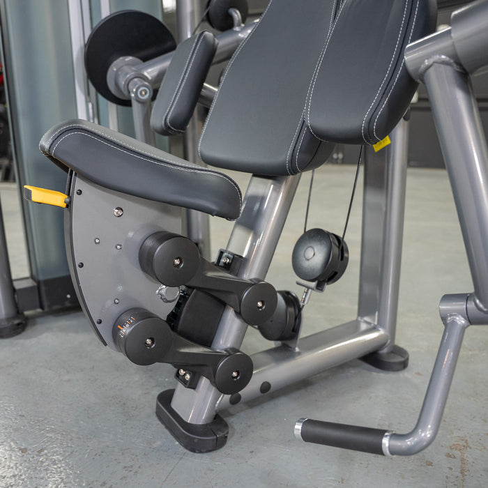 Elite Plus Biceps Curl Machine | Muscle D Fitness