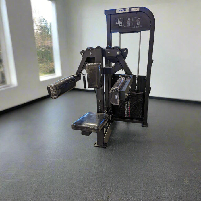 SFE Selectorized Lateral Raise Delt Machine — 250lb Weight Stack