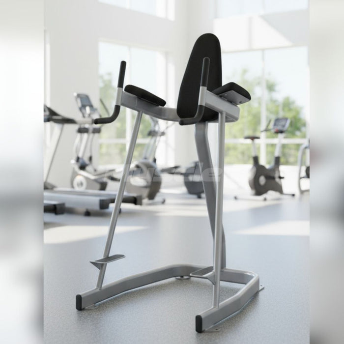 Vertical Knee Raise - Elite Series - Muscle D Fitness - Sturdy Vertical Knee Raise