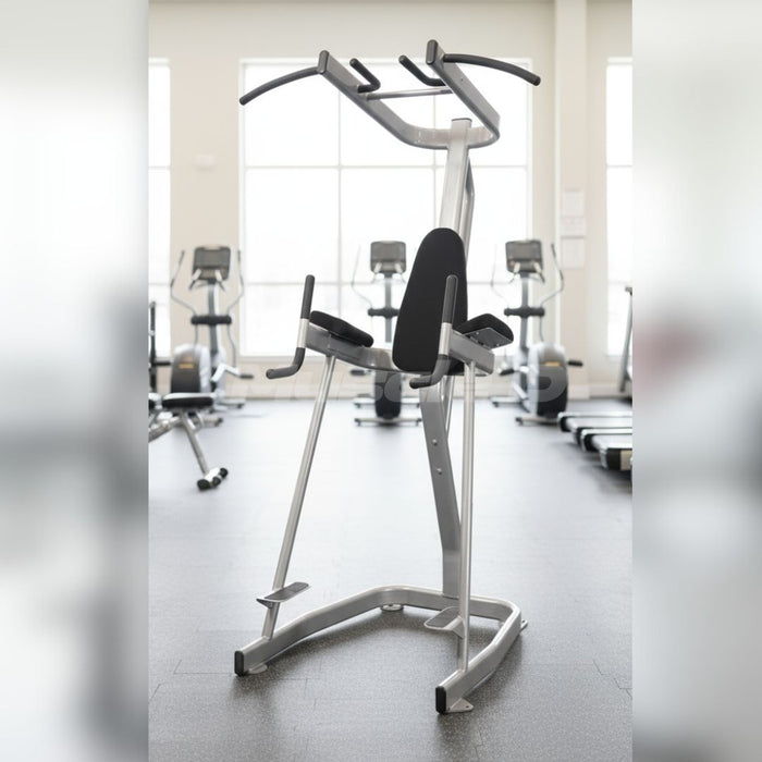 Vertical Knee Raise with Pull Up Station - Muscle D Fitness - Commercial