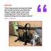 A large tan dog sits on a couch next to the Bells of Steel Blitz Air Bike in a wood-paneled home gym. Above, a review praises the bike's stability, quietness, and challenge for daily workouts.